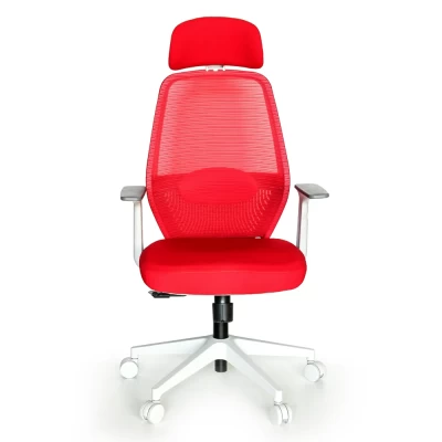 MR Furniture is the best Supplier of office chairs in Dubai. UAE | 360 Alice Ergonomic Chair