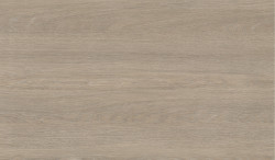 Beige Grey Case Executive Desk